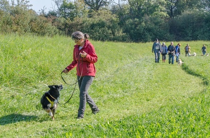 k-Krimiwanderung 2019-09-21 066