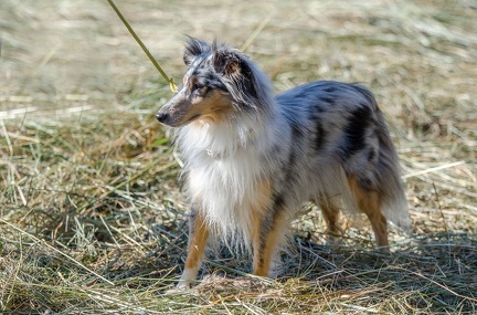 k-Krimiwanderung 2019-09-21 076