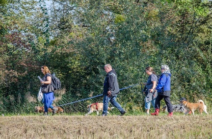 k-Krimiwanderung 2019-09-21 088