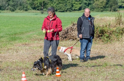 k-Krimiwanderung 2019-09-21 094