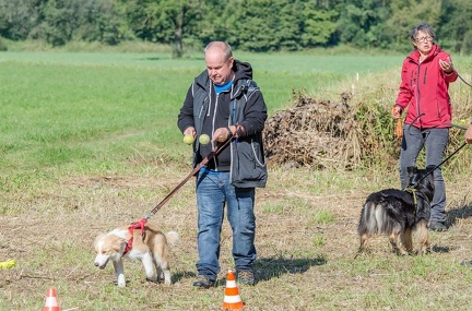 k-Krimiwanderung 2019-09-21 099