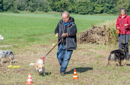k-Krimiwanderung 2019-09-21 100