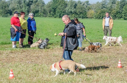 k-Krimiwanderung 2019-09-21 105