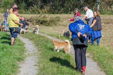 k-Krimiwanderung 2019-09-21 115