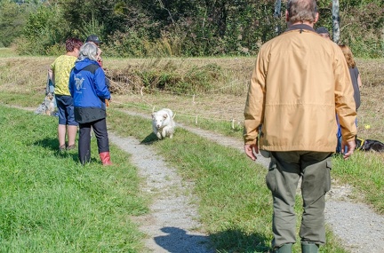 k-Krimiwanderung 2019-09-21 119