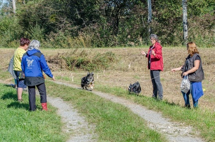 k-Krimiwanderung 2019-09-21 122