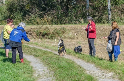 k-Krimiwanderung 2019-09-21 124