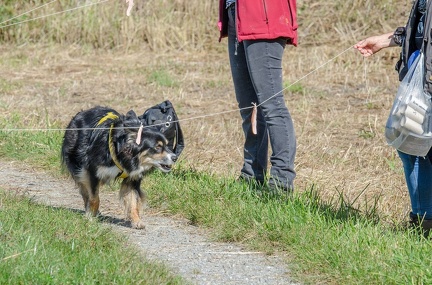 k-Krimiwanderung 2019-09-21 125