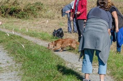 k-Krimiwanderung 2019-09-21 128
