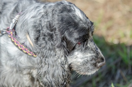 k-Krimiwanderung 2019-09-21 138