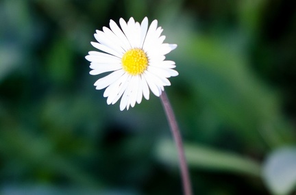 k-Krimiwanderung 2019-09-21 144