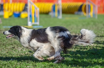 k-AGY LC 2019-10-13 066