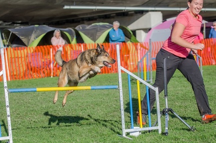 k-AGY LC 2019-10-13 065