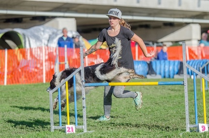 k-AGY LC 2019-10-13 067