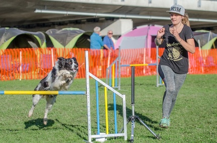 k-AGY LC 2019-10-13 068