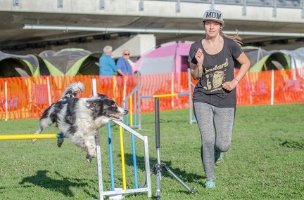 k-AGY LC 2019-10-13 069