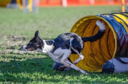 k-AGY LC 2019-10-13 070