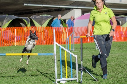 k-AGY LC 2019-10-13 071