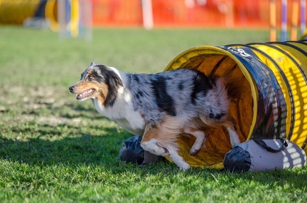 k-AGY LC 2019-10-13 072