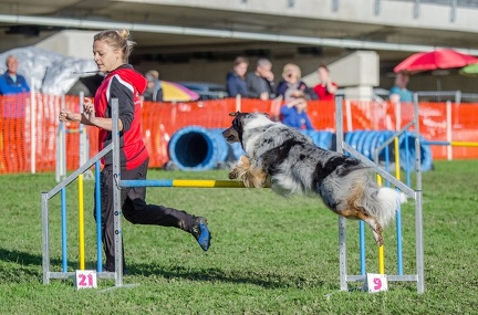 k-AGY LC 2019-10-13 073