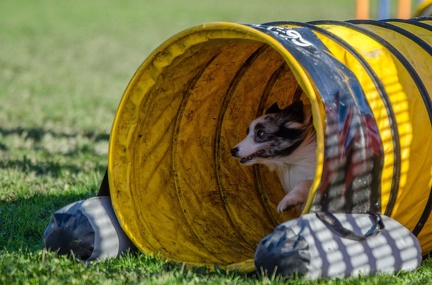 k-AGY LC 2019-10-13 074