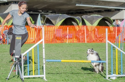 k-AGY LC 2019-10-13 075