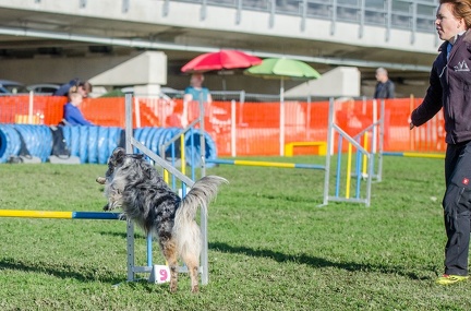 k-AGY LC 2019-10-13 076