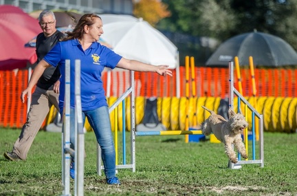 k-AGY LC 2019-10-13 091