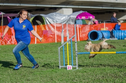 k-AGY LC 2019-10-13 092