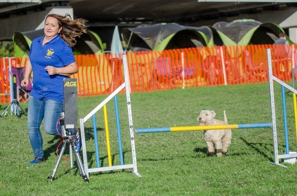 k-AGY LC 2019-10-13 093