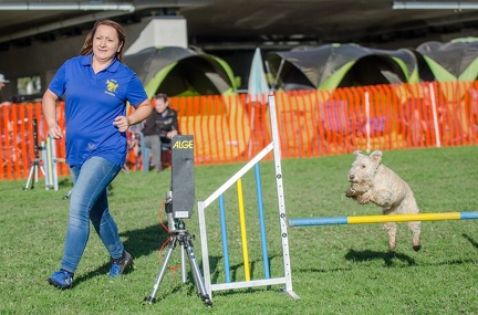 k-AGY LC 2019-10-13 094