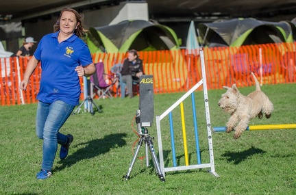 k-AGY LC 2019-10-13 095