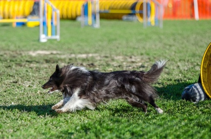 k-AGY LC 2019-10-13 096