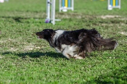 k-AGY LC 2019-10-13 097