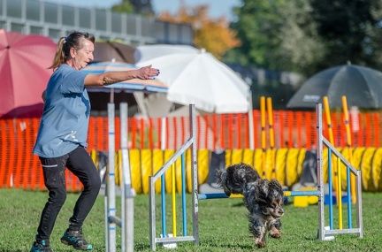 k-AGY LC 2019-10-13 098