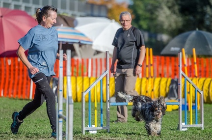 k-AGY LC 2019-10-13 100