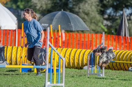 k-AGY LC 2019-10-13 099