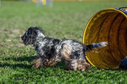 k-AGY LC 2019-10-13 101