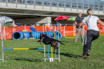 k-AGY LC 2019-10-13 102