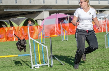 k-AGY LC 2019-10-13 103