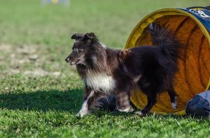 k-AGY LC 2019-10-13 104