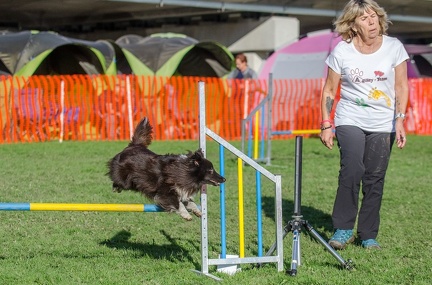 k-AGY LC 2019-10-13 105