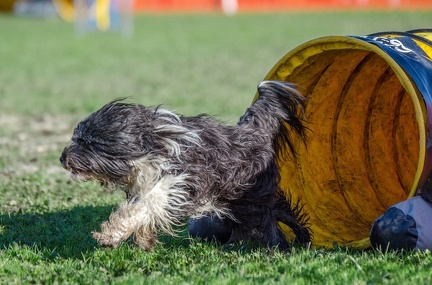 k-AGY LC 2019-10-13 106