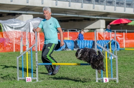 k-AGY LC 2019-10-13 107