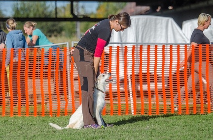 k-AGY LC 2019-10-13 110