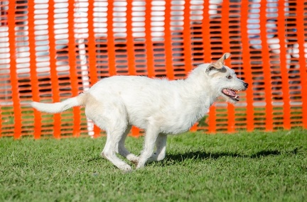 k-AGY LC 2019-10-13 111