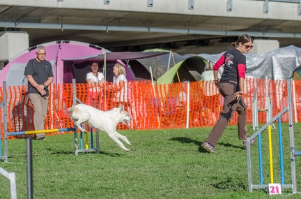 k-AGY LC 2019-10-13 112