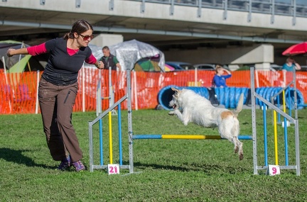 k-AGY LC 2019-10-13 113