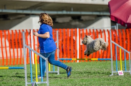 k-AGY LC 2019-10-13 114