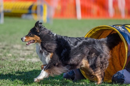 k-AGY LC 2019-10-13 117